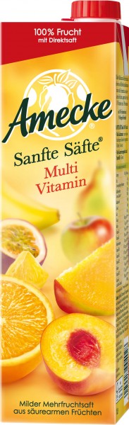 Bild von Amecke Sanfte Säfte Multivitamin 1L